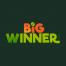 BigWinner Casino