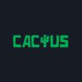Cactus Casino