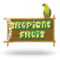 Tropical Fruit