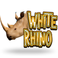 White Rhino