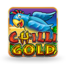 Chilli Gold