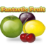 Fantastic Fruit