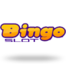 Bingo Slot