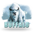 White Buffalo