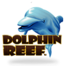 Dolphin Reef