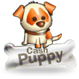 Cash Puppy