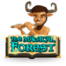 Magical Forest