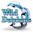 Wild Dolphins