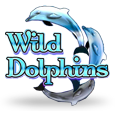 Wild Dolphins