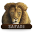 Safari