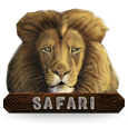 Safari