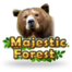 Majestic Forest