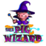 The Pig Wizard