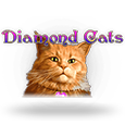 Diamond Cats