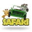 Safari