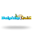 Dolphins Gold