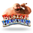 Buster Hammer