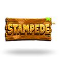 Stampede