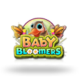 Baby Bloomers