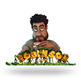 Robinson