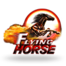 Flying Horse