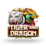 Tiger And Dragon