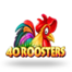 40 Roosters