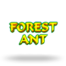 Forest Ant