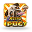 Astro Pug