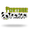 Fortune Panda