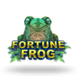Fortune Frog