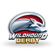 Wildhound Derby