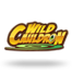 Wild Cauldron