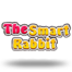 The Smart Rabbit