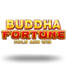 Buddha Fortune Hold and Win