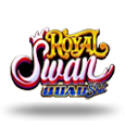 Royal Swan