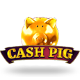 Cash Pig
