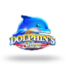 Dolphin's Shine