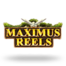 Maximus Reels