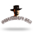 Gunspinner's Gold