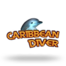 Caribbean Diver