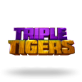 Triple Tigers