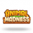 Animal Madness