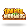 Animal Madness