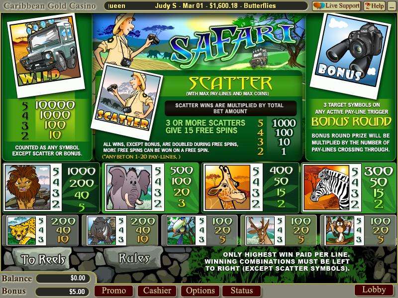 Safari