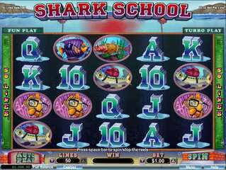 Shark School