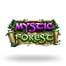 Mystic Forest