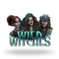 Wild Witches