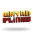 Mayan Plinko