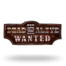 Dead or Alive 3 Wanted
